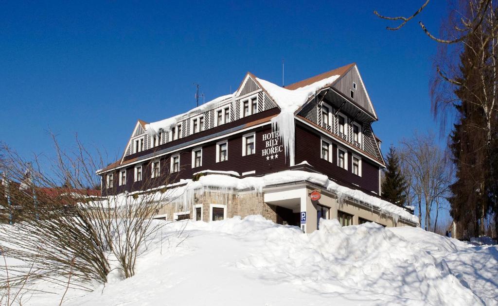 Spa Hotel Bily Horec Harrachov Dış mekan fotoğraf