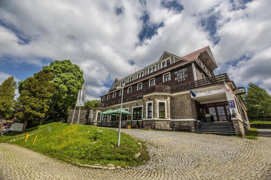 Spa Hotel Bily Horec Harrachov Dış mekan fotoğraf