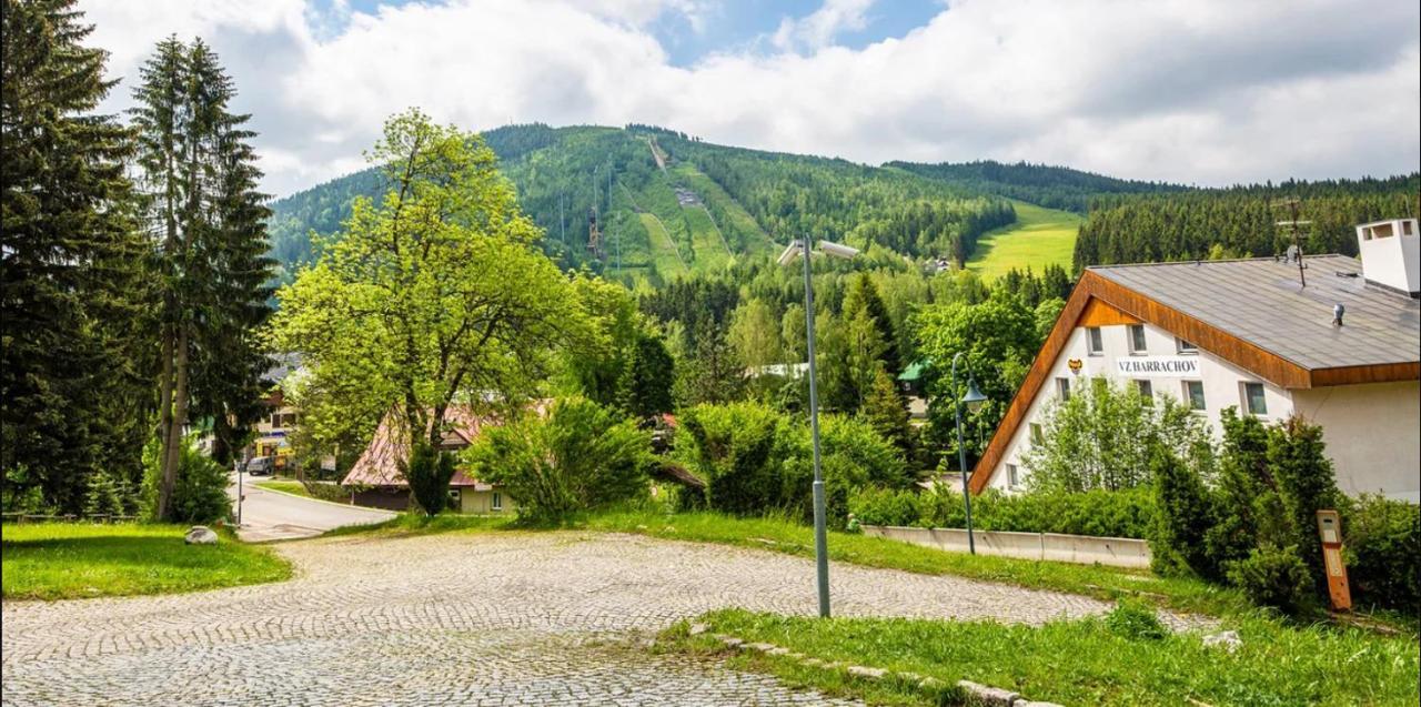 Spa Hotel Bily Horec Harrachov Dış mekan fotoğraf